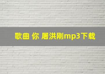 歌曲 你 屠洪刚mp3下载